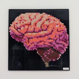 Brain