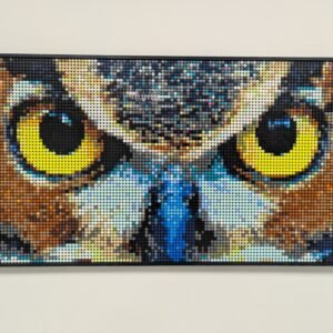 Owl Eyes